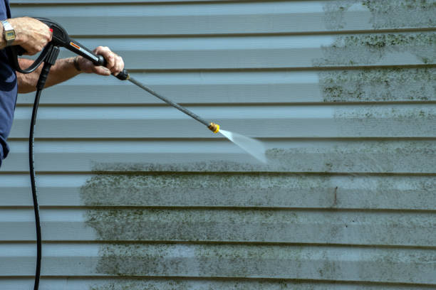 Best Roof Washing  in Endwell, NY